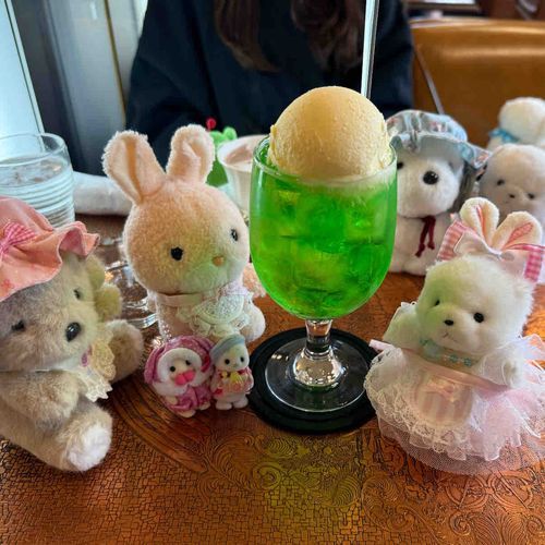 ひさびさに  くりーむそーだ  のんだよ〜₍ᐢ. ̫.ᐢ₎🍈あつくなったら  むしょに  のみたくなるよね☺️💕（まださむいけど）
