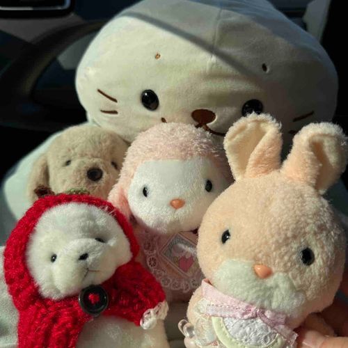 さんがつは  みみたちが  おうちにきた  ふしめの  つきだから  みんなで  だんがん  りょこに  いってきたよ🥰
また  おしゃしん  のせるねー❣️