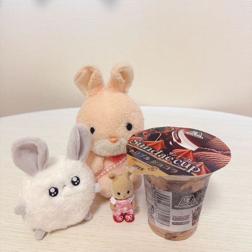 きょの  おやつ〜🤤🍨🍫

きのうから  ずっと  あついね☀️おひさま  ぽかぽかで  きもちいいな🐇もう  なつさん  くるのかな…？🌊