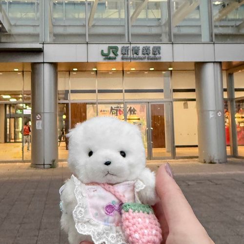 あおもりけん  はつじょーりくですよ❕🍎
めざせ❕さいほくたん❕ぽゆ🐻‍❄️
