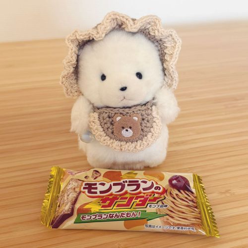 ぬしさんに  おぼうしと  すたい  つくてもらいました❕ぽゆ🐻‍❄️🧸