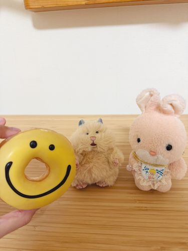 みてみて〜❕おうちにね、はむにぎりの  はみゅ  ちゃんが  きてくれたの🐹💓これから  よろしくね〜♩
どーなつで  かんげいかい❕くりすぴーどなつ  はまりそう〜🍩💕💕
さっかさんの  ぬいぐるみも  おうち  きてくれるといいね🤭💓みんなで  おいのりするの🙈