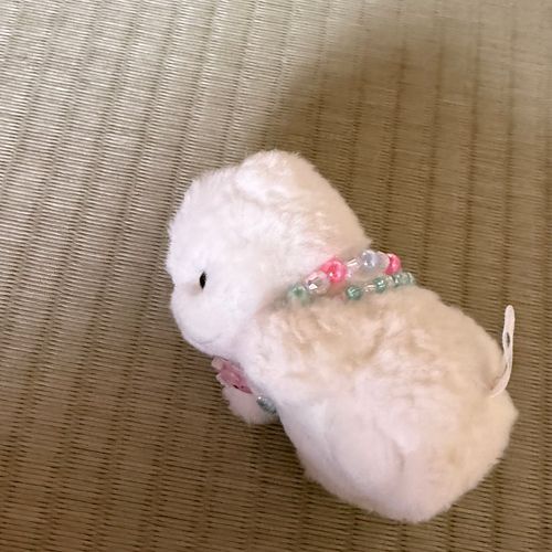 いっぱい  たべて🍚  おんせん  はいって♨️たたみの  おへやで  ごろ〜ん🥱
このしあわせが  ずっと  つづいてほしいです・・🐻‍❄️