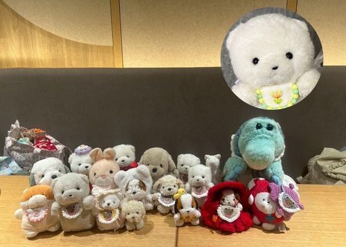 きのうは  だいすきな  おともだちと  ねんがんの  おしょくじかいに  いてきたよ🐰💗💗❕
みんな  ほんと〜に  かわいくて  ばいばいが  さみしかったの〜😭
およふくは  みみが  おそろいで  つくってみた✨みんな  よろこんで  くれてるかなぁ🤭❣️
また  あえるよ  ねっ♩みんなのことが  だいすきだよお🥰