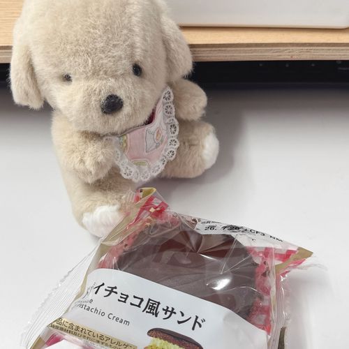 ドバイを嗜む…でちゅね🐶🩷