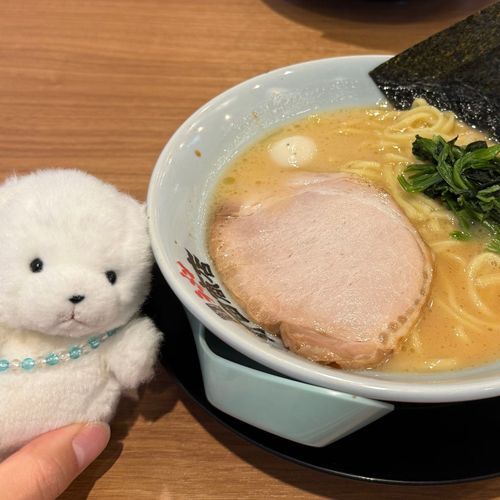 のうこう  とんこつ  ふらぺちーのさんです‼️🍜（ちがうよ〜🐻‍❄️）ぽゆ🐻‍❄️