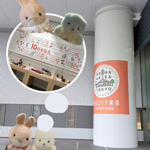 きょは  かいぬしが  とうきょうの  りんかいこういきぼうさいこうえん  にある  そなえりあ  っていうところに  いってきた  おしゃしんを  みせてもらったの🐰🐻‍❄️🏞️

しゅと  ちょっかがた  じしんが  きたときを  そうていして  じしんごの72じかんを  どういきのびるかっていう  てーまで  くいずに  こたえながら  たいけんしてきた  みたいなの
いきるちえを  まなびながら  さいがいがおきたばあいの  そなえや  こころがまえを  あらためて  かんがえることができた  とても  きちょうな  じかんだったんだって
じしんが  おきたときの  まちなみを  みることができるんだけど、とても  りあるに  つくりこまれていたよ

だれでも  むりょうで  にゅうかんできるから  おちかくに  よったさいは  ぜひ  いってみてほしいなの❕📝