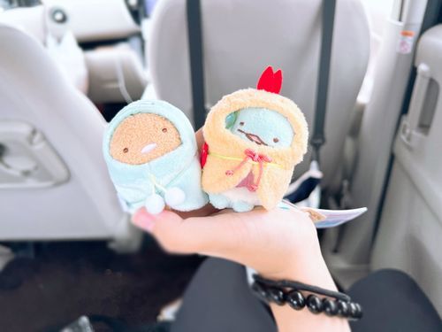 はじめまして。とんかつのとんちゃんときょうりゅうちゃん☺️

今日からよろしくね。