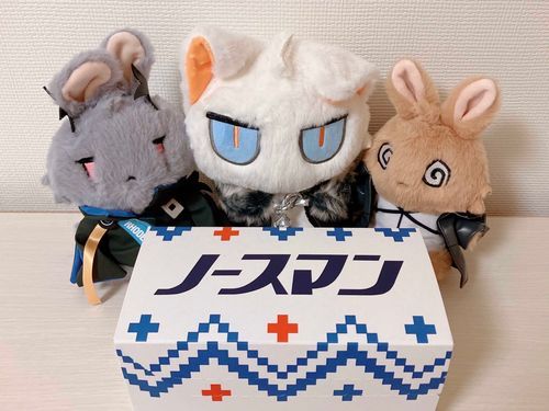 初めての生ノースマン
雪境のぬいをセンターに添えて❄🐱