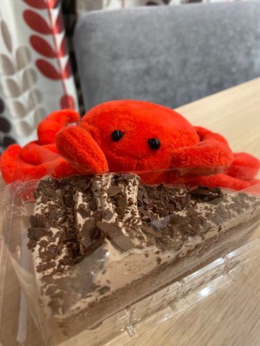 ﾁｮｺｽｷ