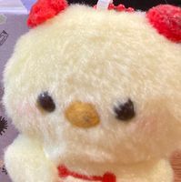 ふわふわ君‪𓂃 𓈒𓏸