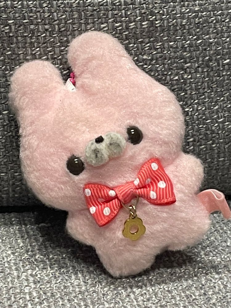 うさにちは〜♡♡
今日は私、うーちゃんだよ〜
名前 うーちゃん
好きな食べ物 花の蜜(はちみつ)
嫌いな食べ物 レモン🍋
挨拶 うさにちは〜♡♡
他に聞きたいことがあるならコメントで
私はふわふわ星では通常の住民で𓏸𓏸ちゃんと一緒に暮らしてたよ〜
明日は𓏸𓏸ちゃんのご紹介❤︎(主)