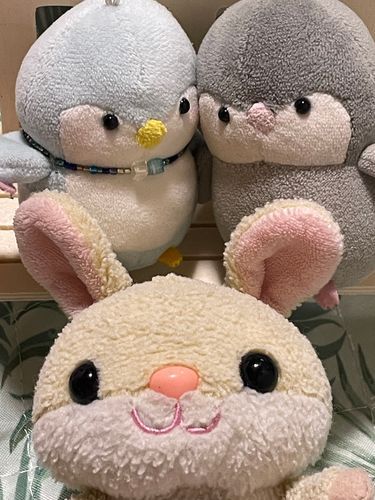 〜友達との遊び〜
3人で自撮り🤳

いえーい✌️✌️