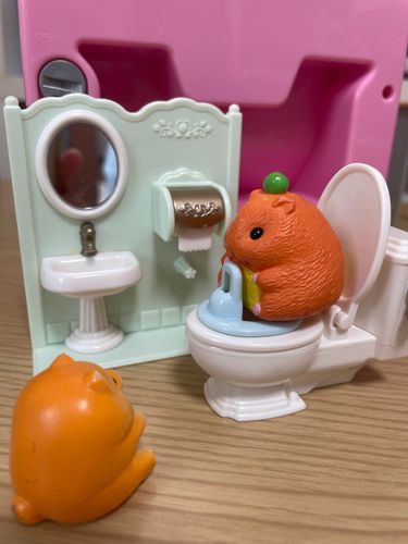 これで世界一周するぞ〜