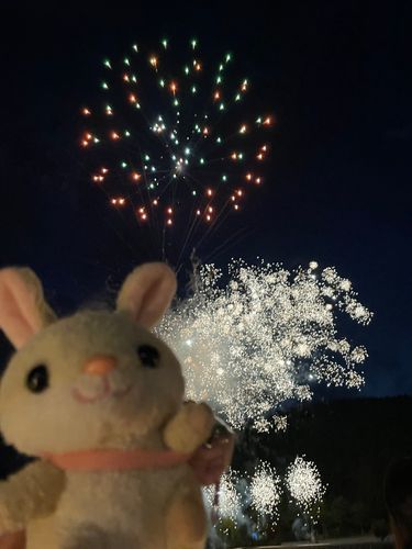 見て〜夜は花火見たの🎆
とっても近いから音も凄かったよ