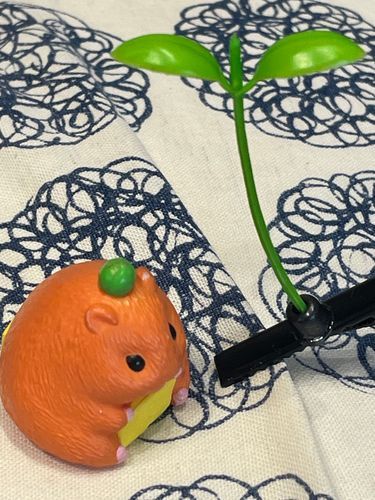 花瓶の中にあった苗、ここに置いとけりゃいいかにゃ(｡-∀-｡)