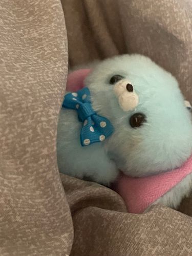 おいお前ら、起きてるか〜？俺は、、、今、起きた(´>∀<｀)ゝ
土曜だからって寝すぎんなよ😴
じゃもう1回寝るわ😪