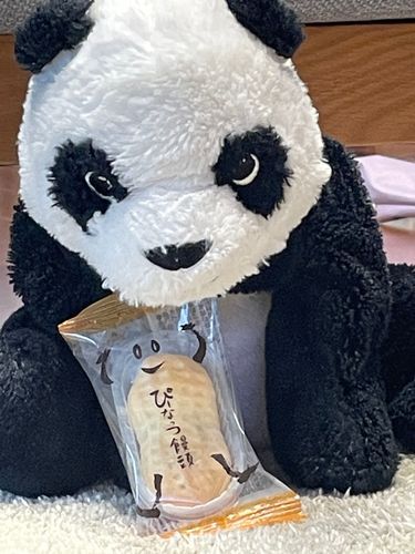 欲望に負けない( ˘꒳˘)