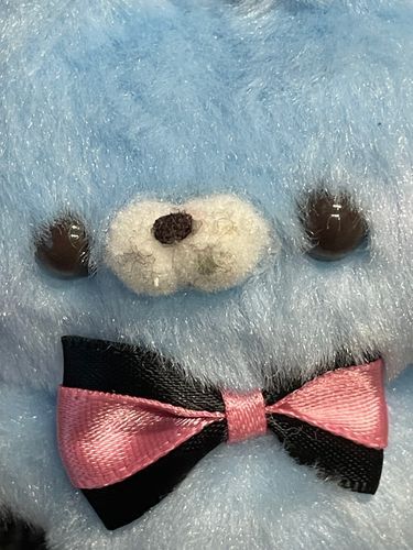 皆様にお詫び申し上げます。
私たち｢ふわふわ君」は、過去に【すくっとフレンド】という名前で動いていました。時々あげる写真は、この【すくっとフレンド】で、過去に投稿したものです。
この件を確認した上で投稿を見ていただくと幸いです🙇‍♀️