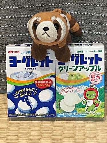 お菓子、食べようとしたら部屋の隅に……いたのだ