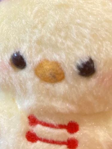みんな〜アカウントを変えたよなのだ！ぜひ見てくれなのだ✨️