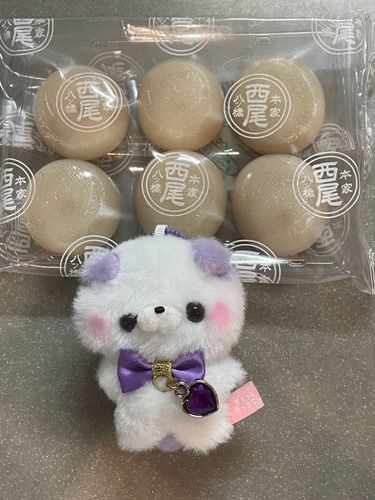 見て〜これ、「本家西尾八ッ橋」だって美味しそ〜(∩ˊ͈ ᢐ ˋ͈ ∩)