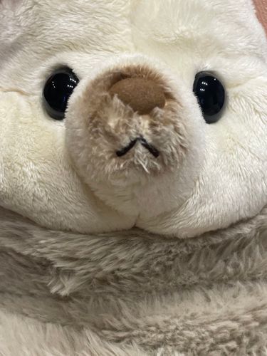 寝なさい


なのだ