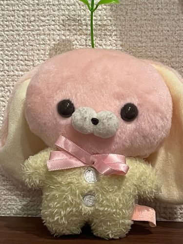 なんか生えた🌱͛