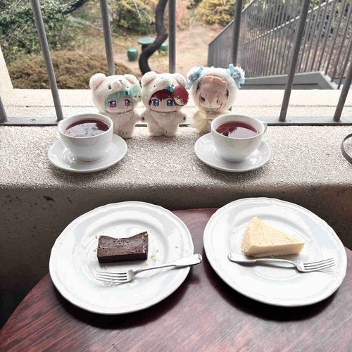 やぎ座組（ゆいぬい　ひいろさん　たつぬいさん）　で　カフェ　に　行ってきたぞ。
ぬいぬし　は　さむそう　だったが、　わたしたち　は　“モコモコ”　で　あたたかかった。
こう茶　が　とても　おいしかった。

・
（みんな、お誕生日おめでとう！）
📍cace & bar atmosphere