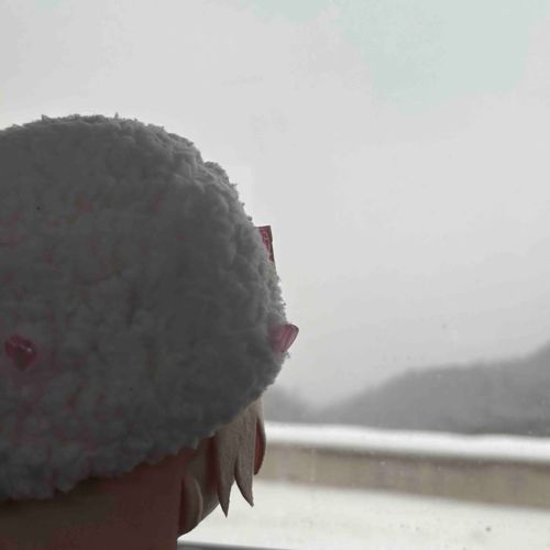 ぬい主の　おうち　雪で　まっしろ　だな⛄️