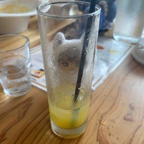 じっ…👀