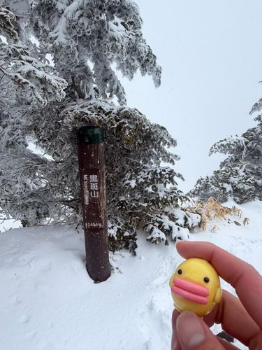 てくてくおさんぽ