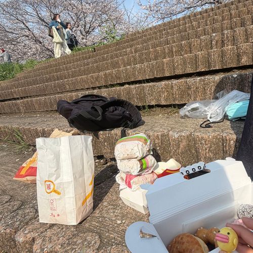 おはなみ！