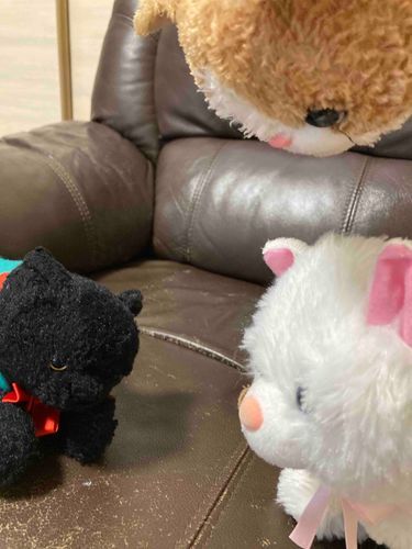 ケンカ中(>_<)ビリビリですな