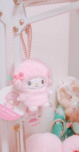 おうちに来たばかりの頃＊‪𓂂𓏸