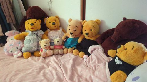 ぱめはどこにいるでしょうか？

チッチッチッチッ⏱️

正解は真ん中のちょっと右でした！