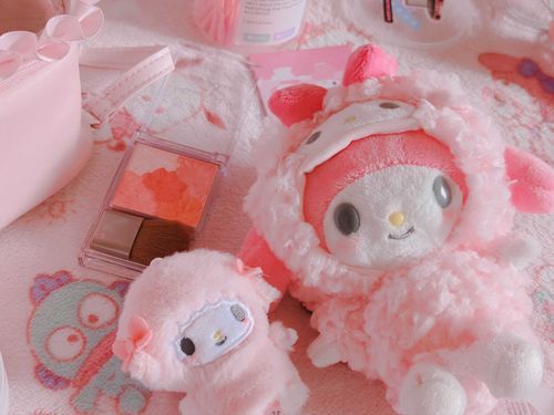 ぱめの被り物したマイメヨちゃんが我が家に来たぱめෆ˚*
チーク塗ればなーかま♪♪