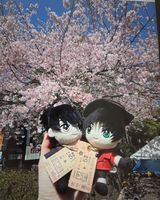 ひなる