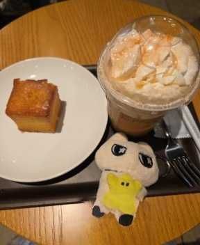 スタバで一息。

ノフリ