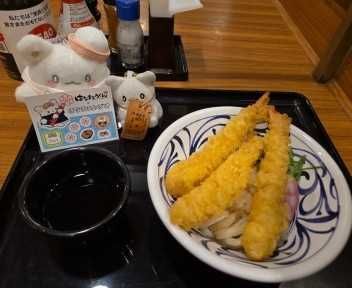 はなまるおばけ×はなまるうどん
はなまる感謝うどん🍤
