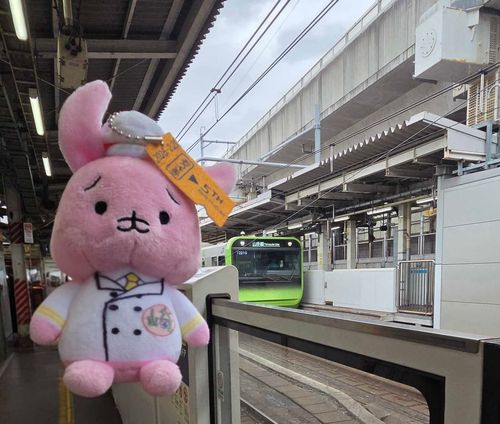 おうさきさん