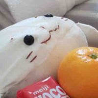 しーたん