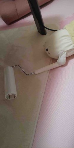 絨毯にコロコロかけたよ