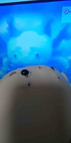 なんか似てる