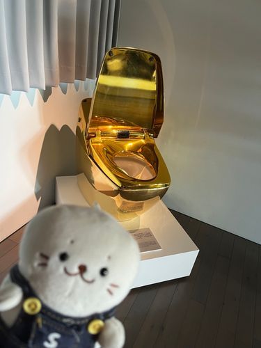 金のトイレ✨