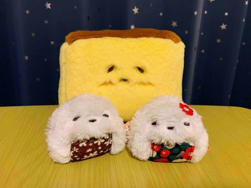 家族のおにぎりちゃんとつばきちゃんです🍙🍙
2人ともとっても仲良しさんです🌸
お米を炊くときいつも見守ってくれてます♪