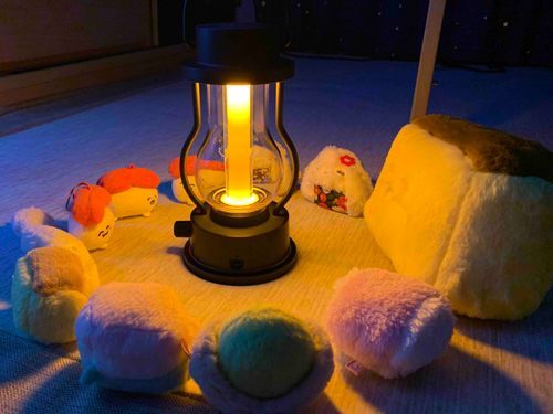 最近更新がなかなか出来ていません
お久しぶりですカステラのぬいぐるみです🌸

みんなでランタンを囲ったときの写真です💡
暖かくなってきたので沢山お出かけしたいですね