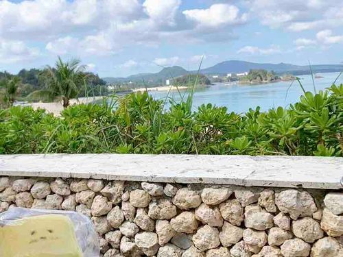 沖縄の写真です🏝️
潮風が強いので袋に入れて連れて行ってもらいました⭐︎
海はとても綺麗で心が洗われました✨
またみんなで行きたいです♪