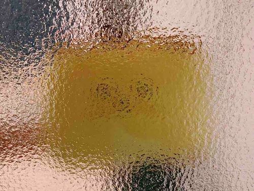 ガラス越しで失礼いたします🟨🚪

ガラス越しで撮ってもカステラとわかるので写真撮ってもらいました📱
カステラとわかりますかね？ ̗̀🟨 ̖́