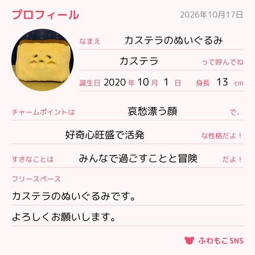 プロフィール入力してみました🌸